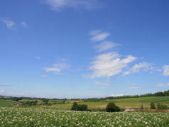 三愛の丘からの眺望（夏）イメージ　3888×2592（3MB)