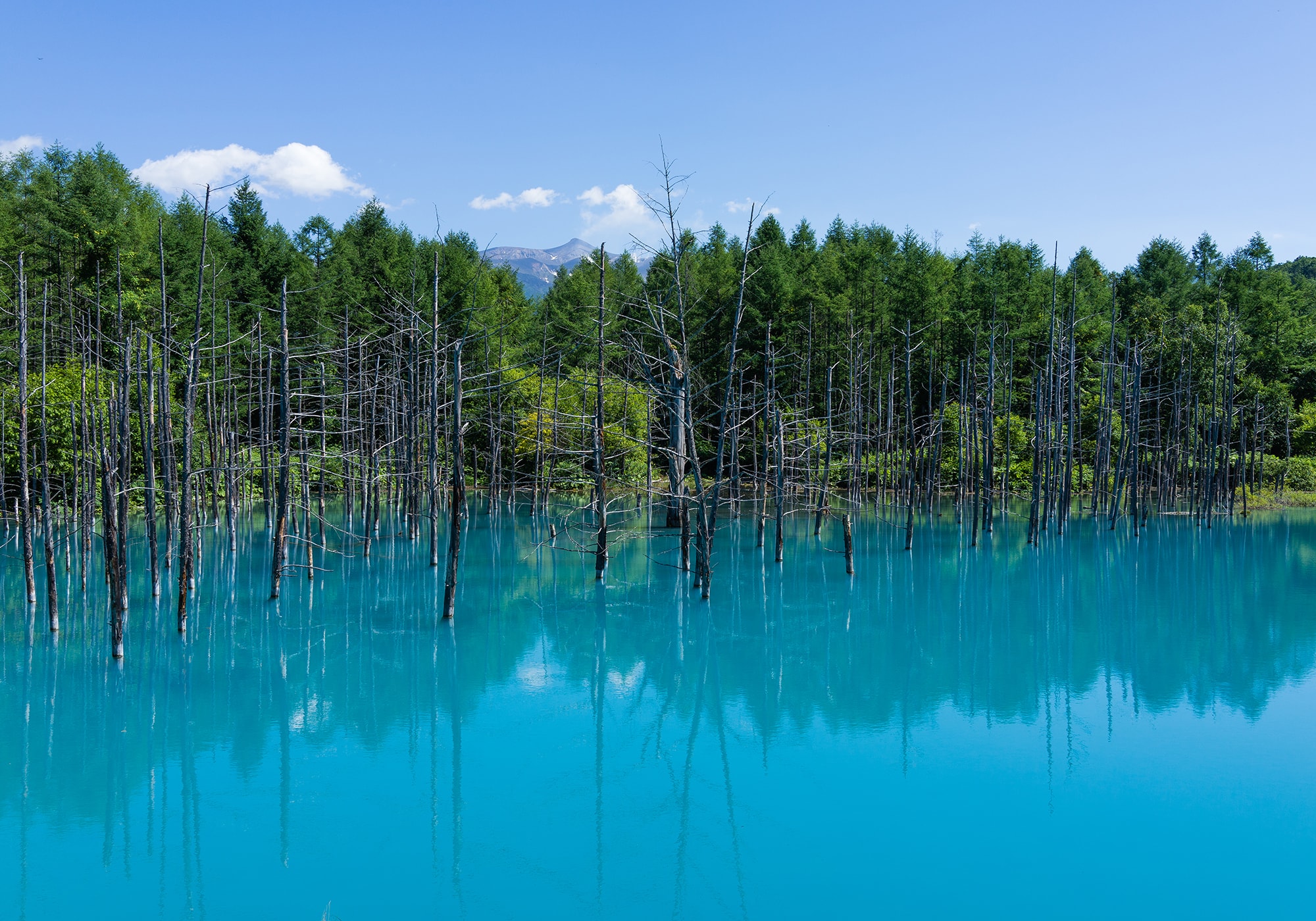 青い池をはじめとする近年の観光