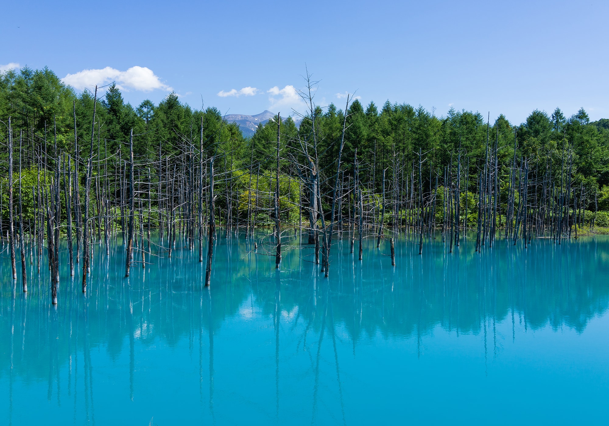 Tourism in recent years, including the Blue Pond