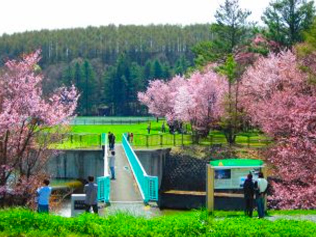 聖台ダム公園